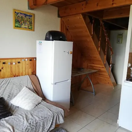 Apartment Monplaisir *